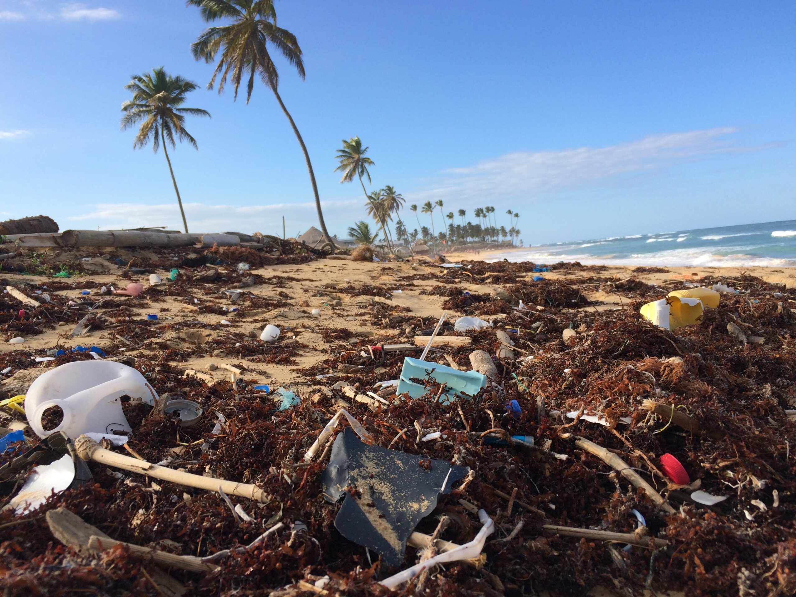 Supermercati senza plastica. Un’idea green e sostenibile