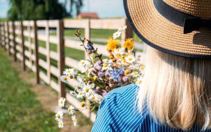 Estetica del cottagecore|Estetica del cottagecore - fiori di campo