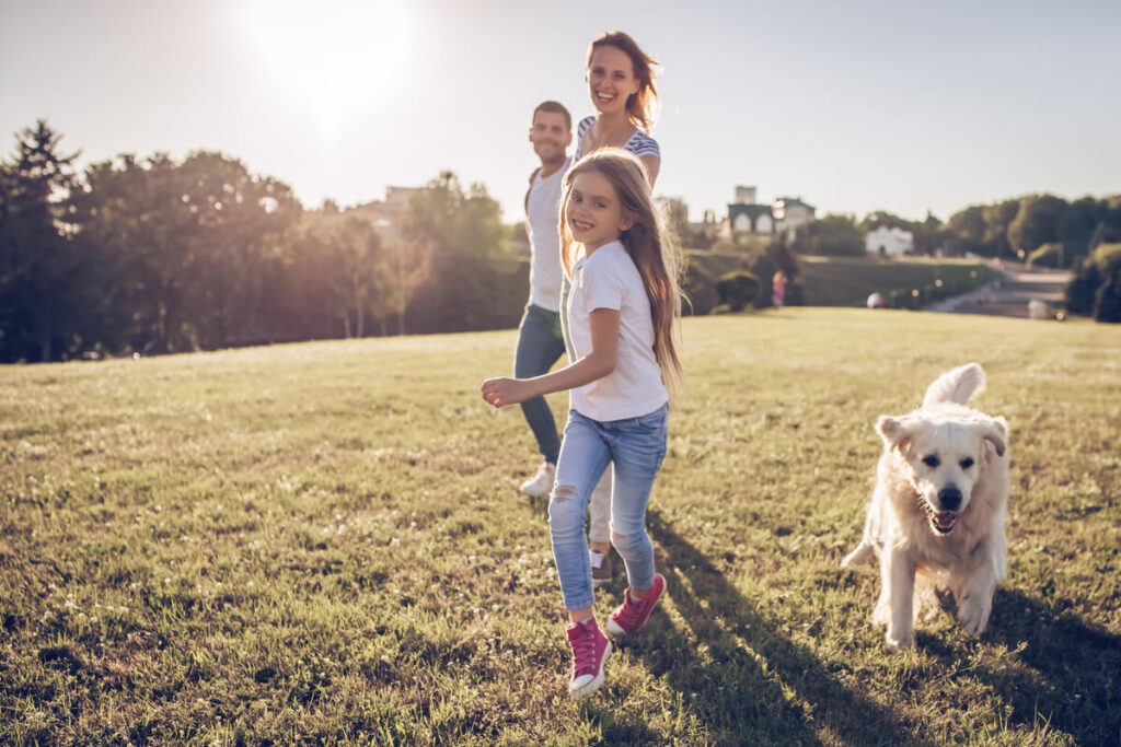 Come possiamo scegliere il cane giusto?