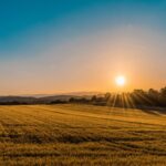 Fiera Agricola|Fiera Agricola