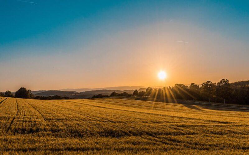 Fiera Agricola|Fiera Agricola