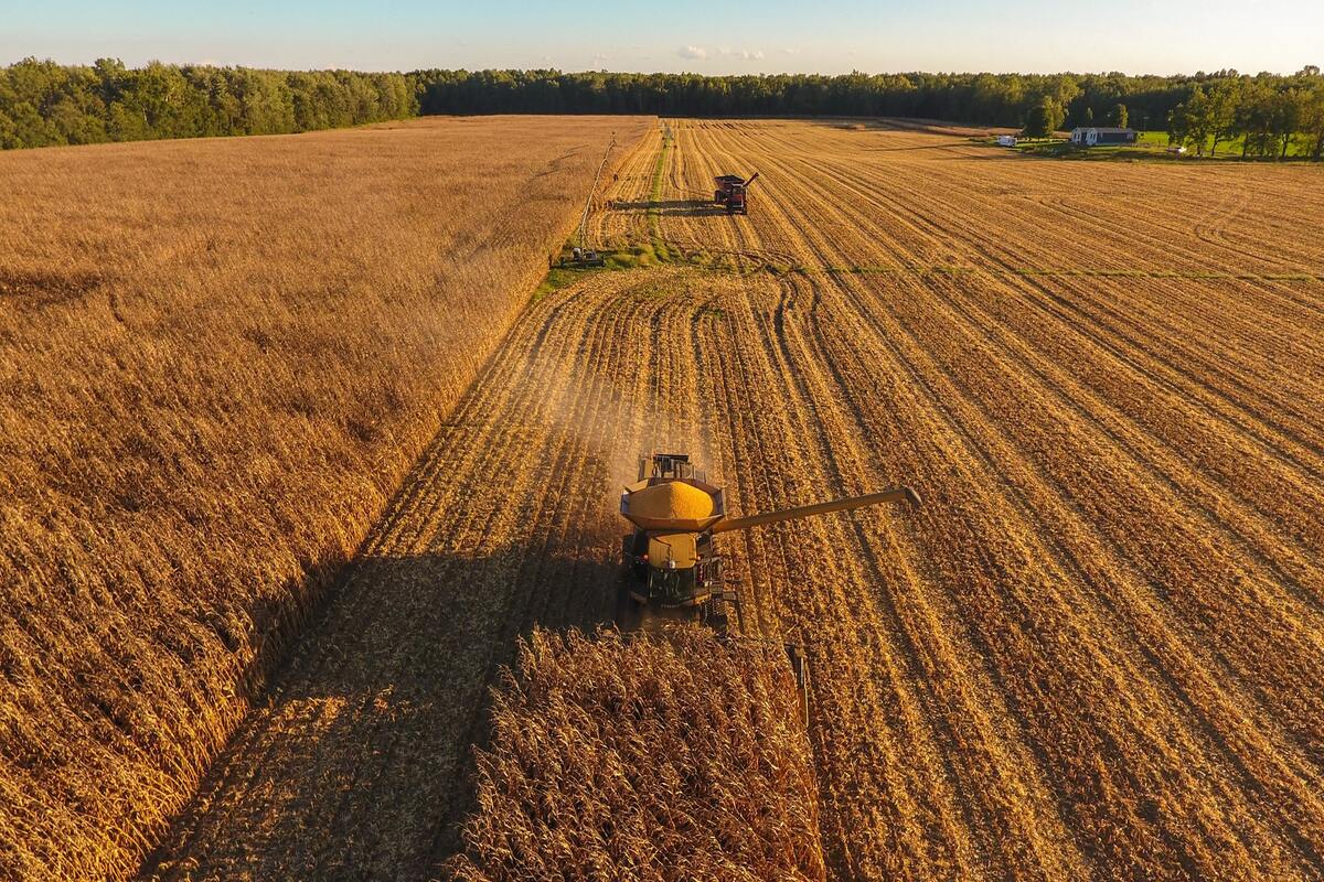 Fiere agricole 2022