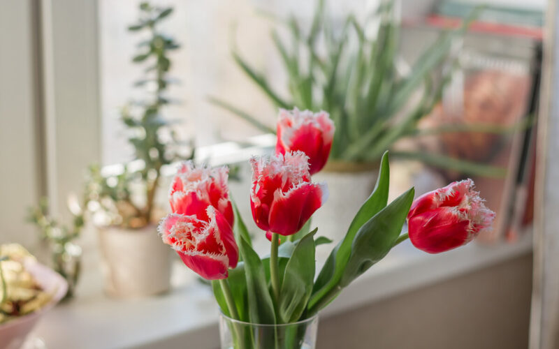 Tanti consigli per una casa profumata e sostenibile|Fiori freschi in casa - tulipani|Florityfair