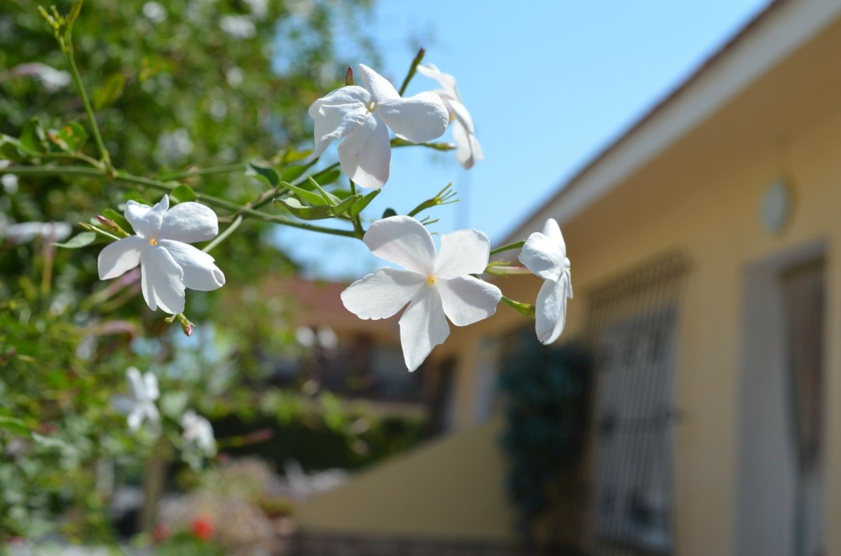 Lavori in giardino nel mese di aprile