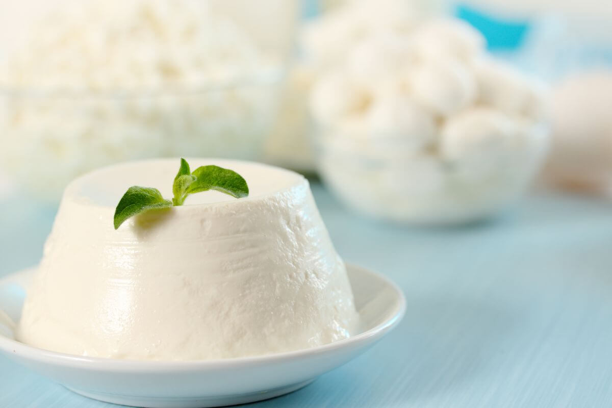 formaggi magri ricotta