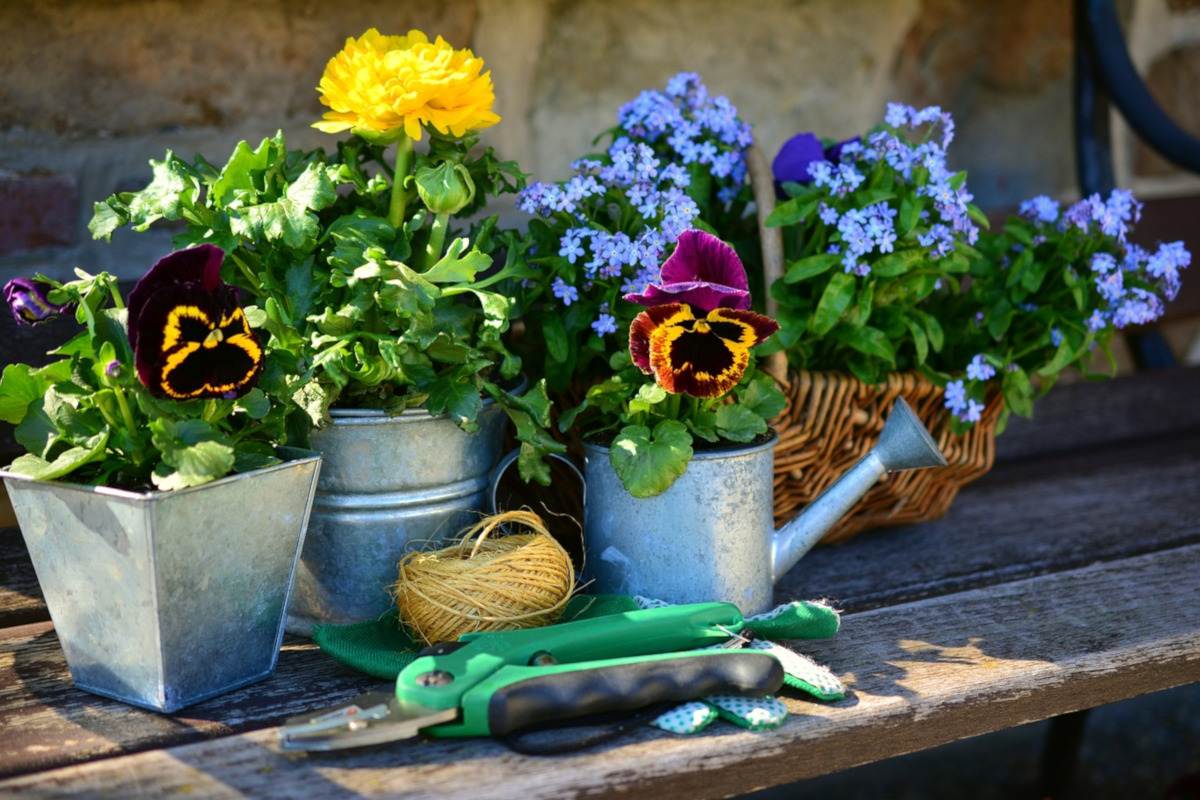 Lavori in giardino nel mese giugno