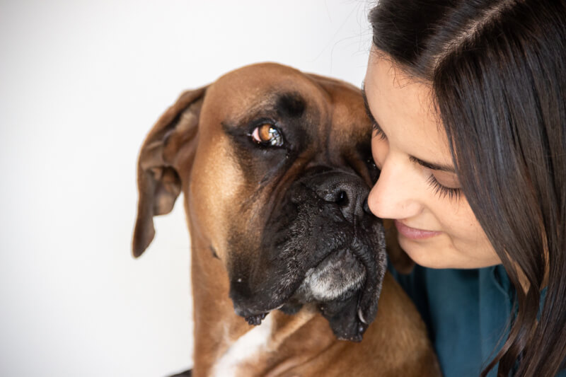 scopriamo i massaggi per cani