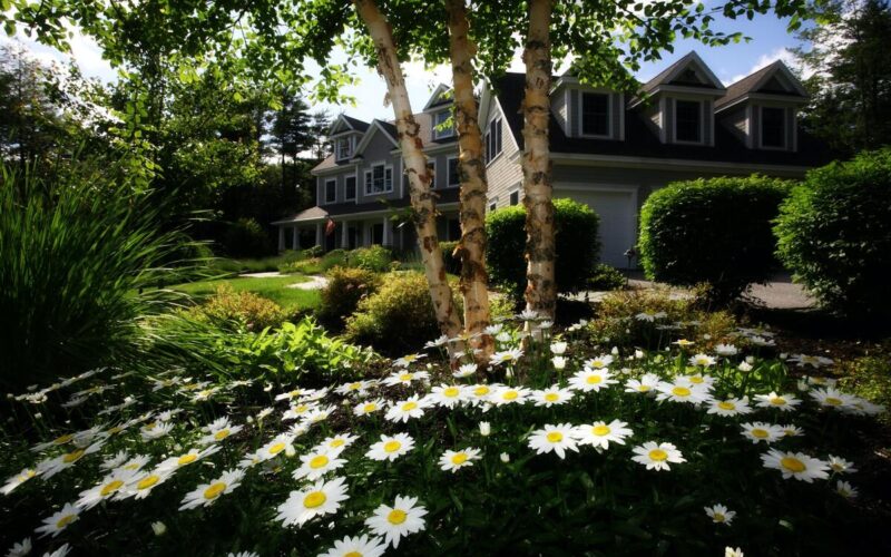 Un giardino da sogno: come realizzarlo e quali sono gli aspetti da curare