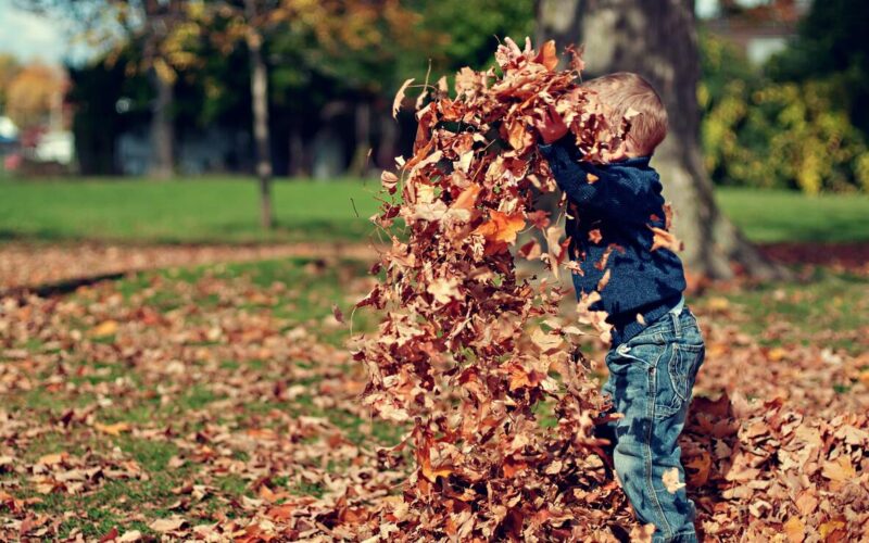 I piccoli di casa e la genitorialità: Giocare in giardino. Limportanza di questa attività per bambini