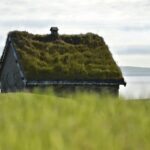 green roof