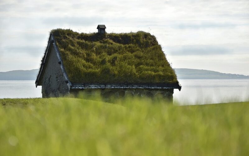 green roof