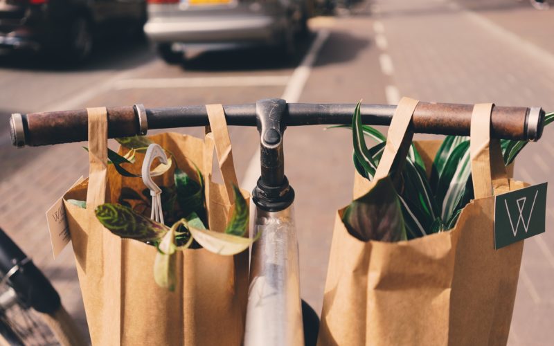 Gli italiani acquistano sempre più “green”