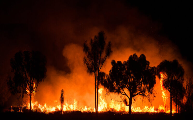 incendi estremi