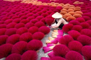 incenso magenta vietnam