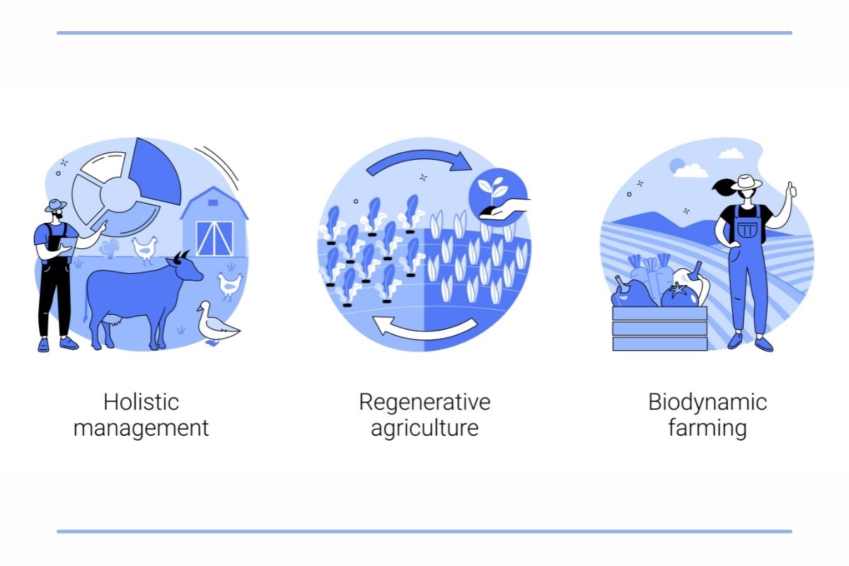 infografica agricoltura biodinamica