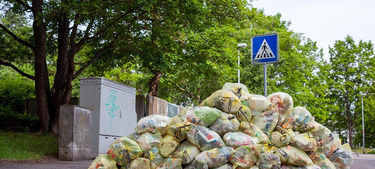 Habitante Green: la raccolta differenziata in casa con il prof. De Feo di Greenopoli