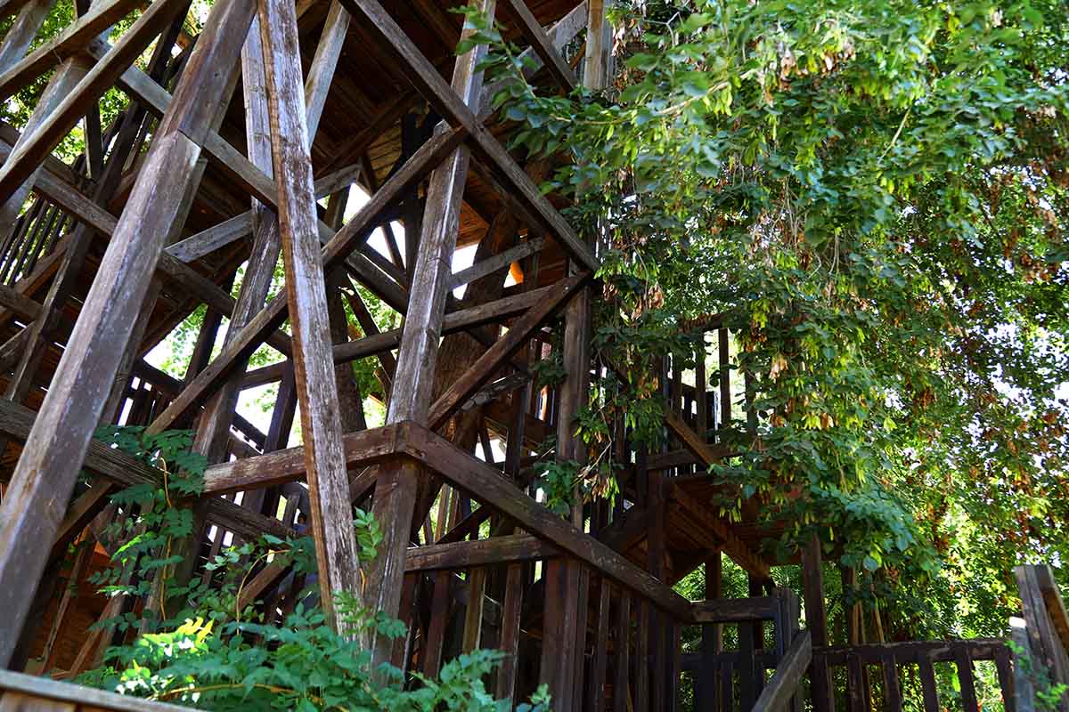 la casa di Horace Burgess in Tennessee è l’edificio sull’albero più grande al mondo