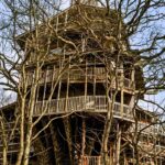 la casa di Horace Burgess in Tennessee è l’edificio sull’albero più grande al mondo|la casa di Horace Burgess in Tennessee è l’edificio sull’albero più grande al mondo