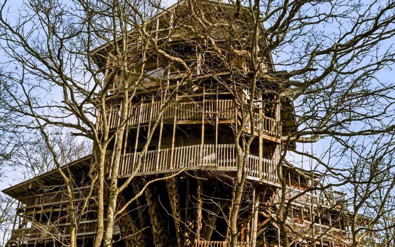 la casa di Horace Burgess in Tennessee è l’edificio sull’albero più grande al mondo|la casa di Horace Burgess in Tennessee è l’edificio sull’albero più grande al mondo