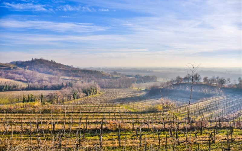 Alla scoperta di Gorizia: la città, gli abitanti, cosa visitare e mangiare