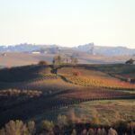 |tour delle langhe Alba|||