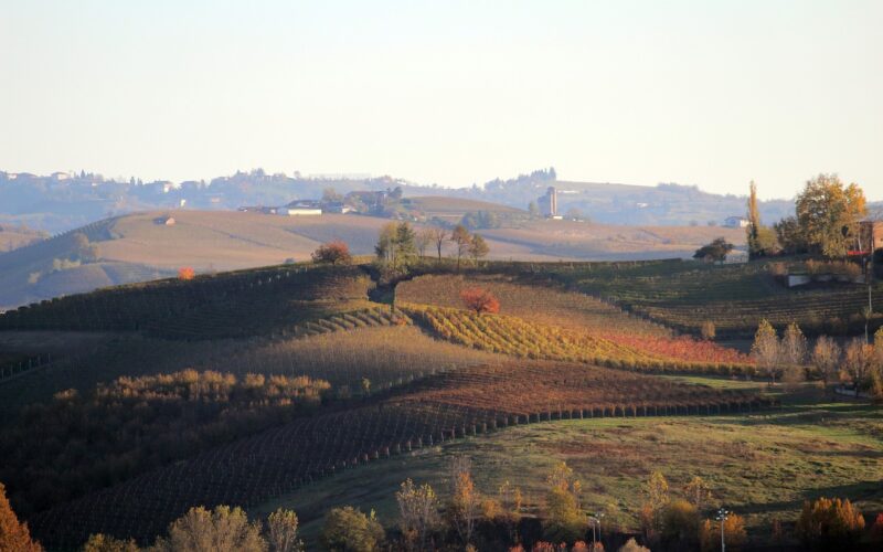 Tour delle langhe in autunno, tra colli, vigneti e castelli