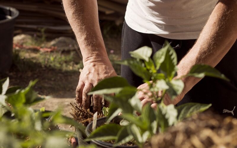 I lavori da fare in giardino nel mese di marzo