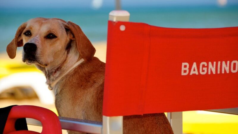 Spiagge a misura di cane in Italia