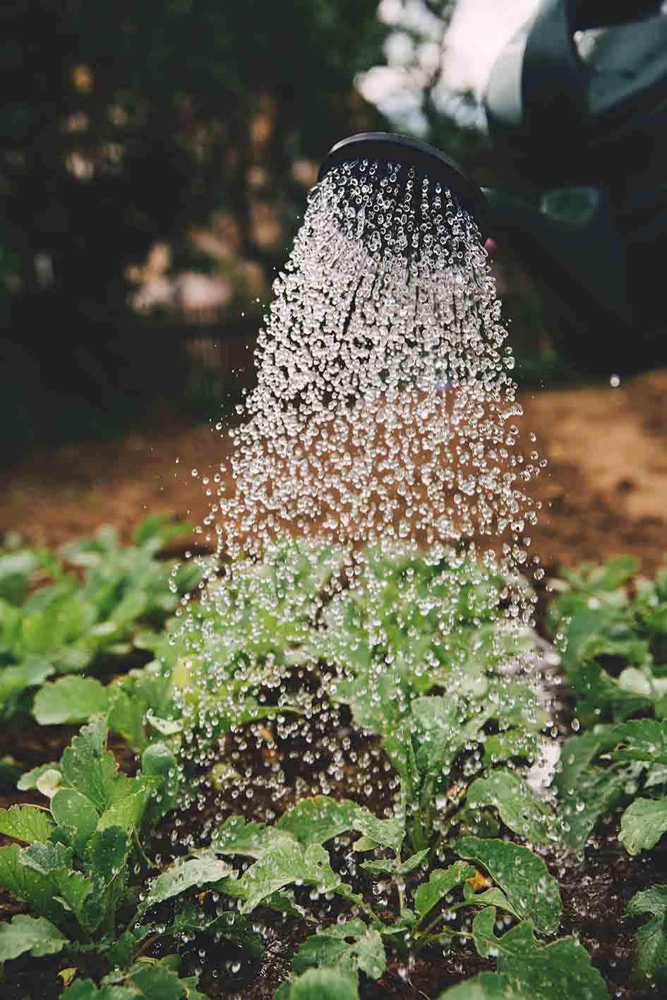 acqua elemento di vita