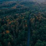 Visitare la foresta nera delle fiabe dei fratelli Grimm: tra natura e mistero|Visitare la foresta nera delle fiabe dei fratelli Grimm: tra natura e mistero|Visitare la foresta nera delle fiabe dei fratelli Grimm: tra natura e mistero|Visitare la foresta nera delle fiabe dei fratelli Grimm: tra natura e mistero|Visitare la foresta nera delle fiabe dei fratelli Grimm: tra natura e mistero|Visitare la foresta nera delle fiabe dei fratelli Grimm: tra natura e mistero|Visitare la foresta nera delle fiabe dei fratelli Grimm: tra natura e mistero|Visitare la foresta nera delle fiabe dei fratelli Grimm: tra natura e mistero