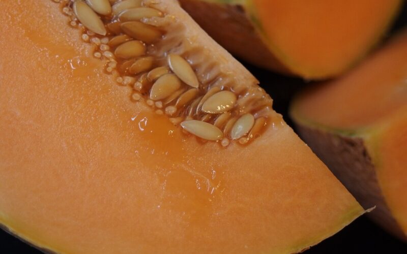 Come coltivare il melone sul balcone di casa