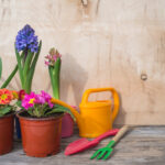 Migliori vasi da giardino|Migliori vasi da giardino - tipi di vaso