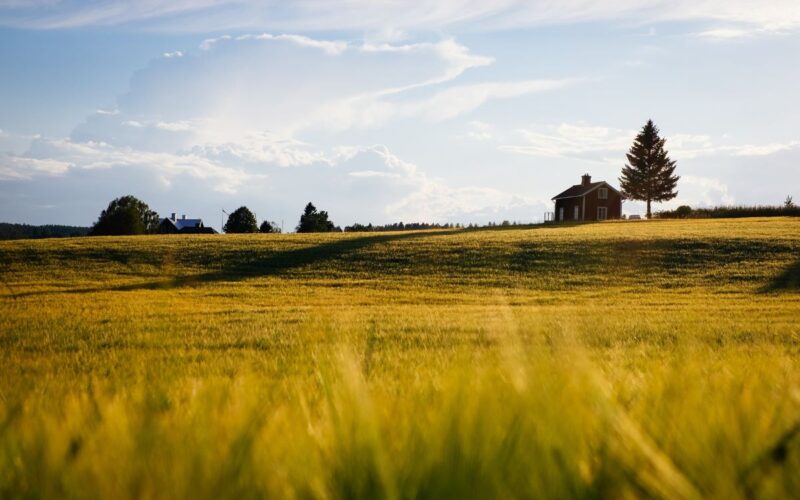 Mudgee Tower: la cabina di campagna (quasi) indistruttibile