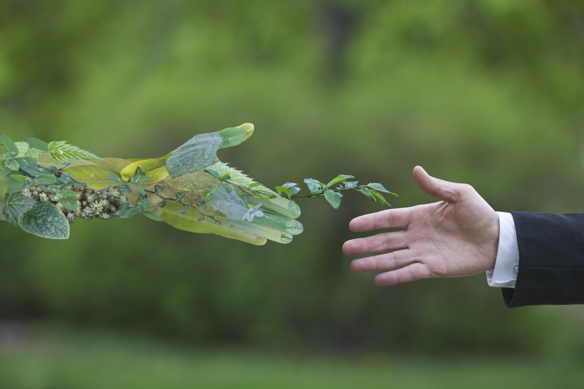 celebriamo la natura