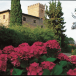 Castello di Monsanto|Castello di Monsanto|Cantina storica||Castello di Monsanto