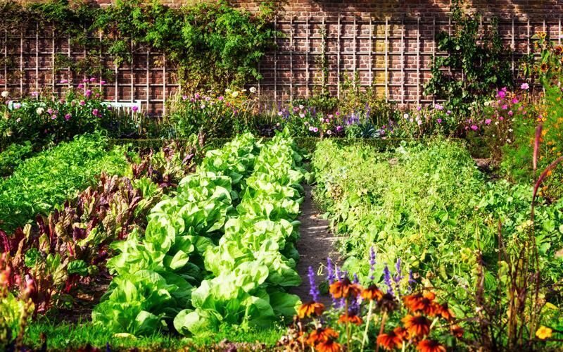 Il nostro giardino fiorito a piccoli passi: come preparare il terreno