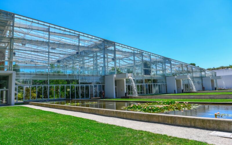 orto botanico Padova|orto botanico Padova