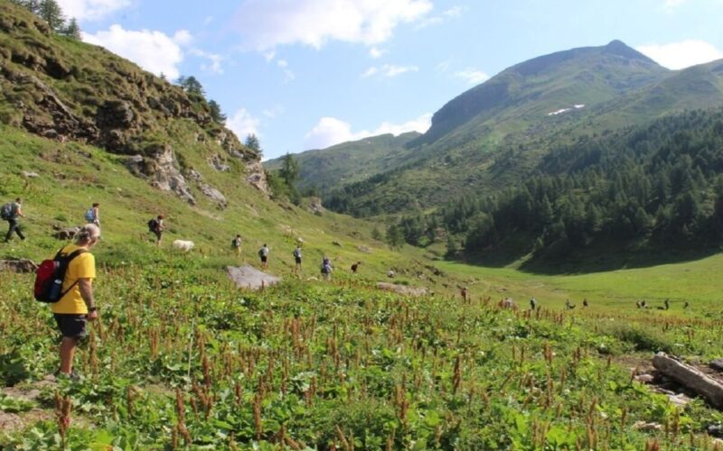 Le passeggiate sociali con i cani|Le passeggiate sociali con i cani|Le passeggiate sociali con i cani|Le passeggiate sociali con i cani