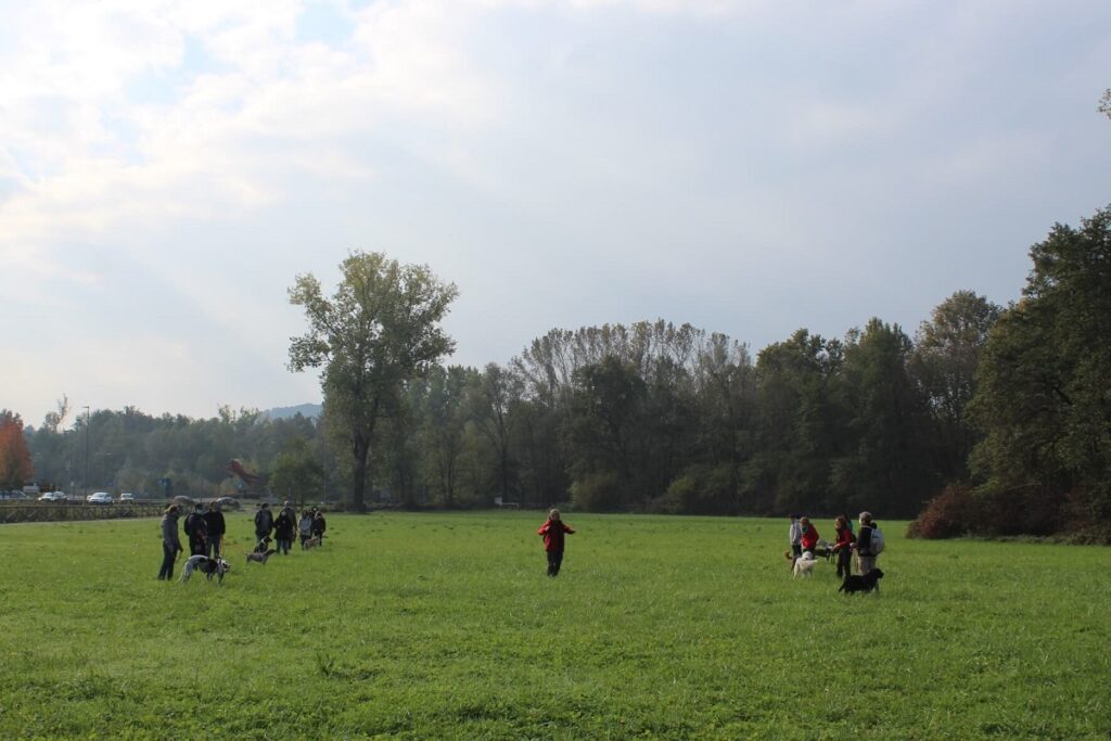 Le passeggiate sociali con i cani