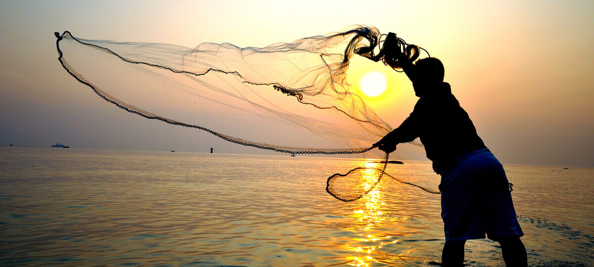 La pesca sostenibile|La pesca sostenibile|La pesca sostenibile