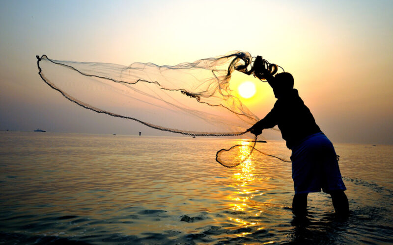 La pesca sostenibile|La pesca sostenibile|La pesca sostenibile