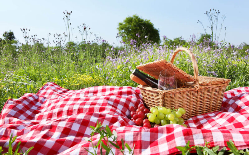 Picnic in Basilicata - cesto da picnic|picnic pasqua Veneto