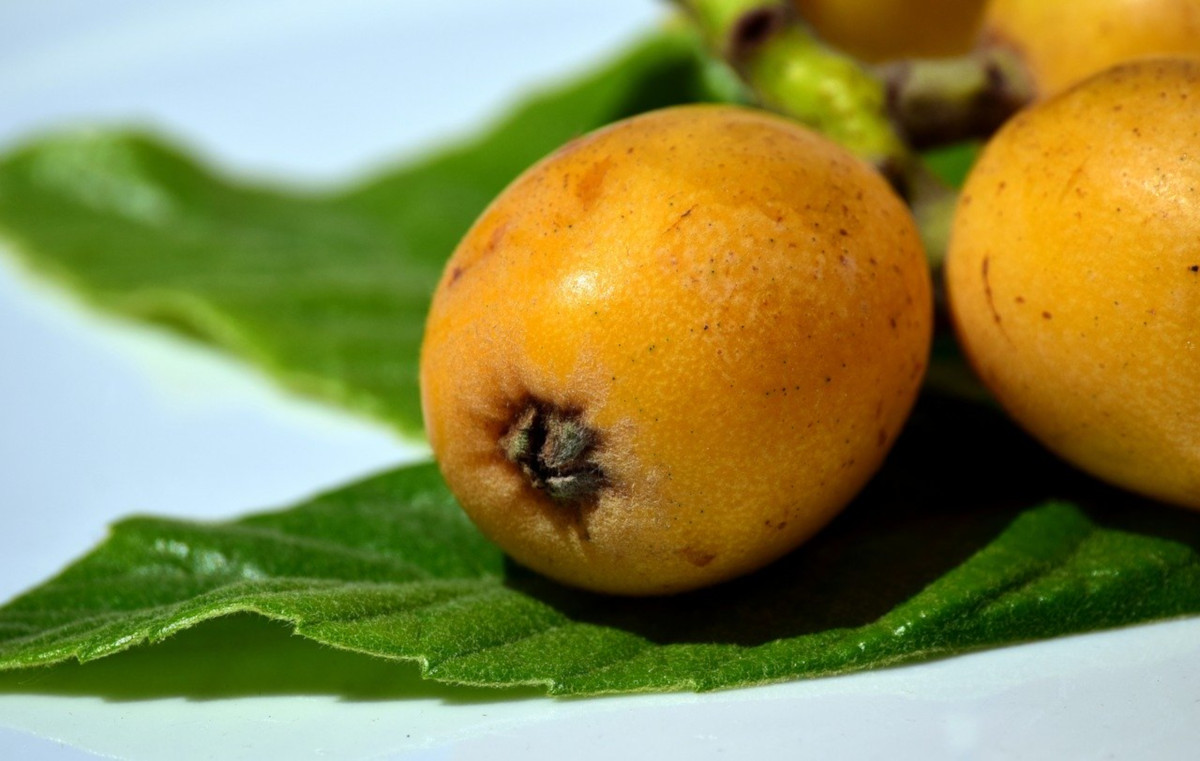 Frutta e verdura del mese di aprile