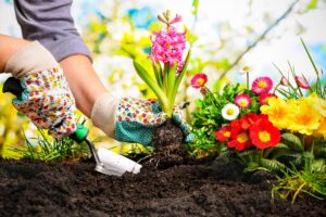 preparare il giardino per la primavera