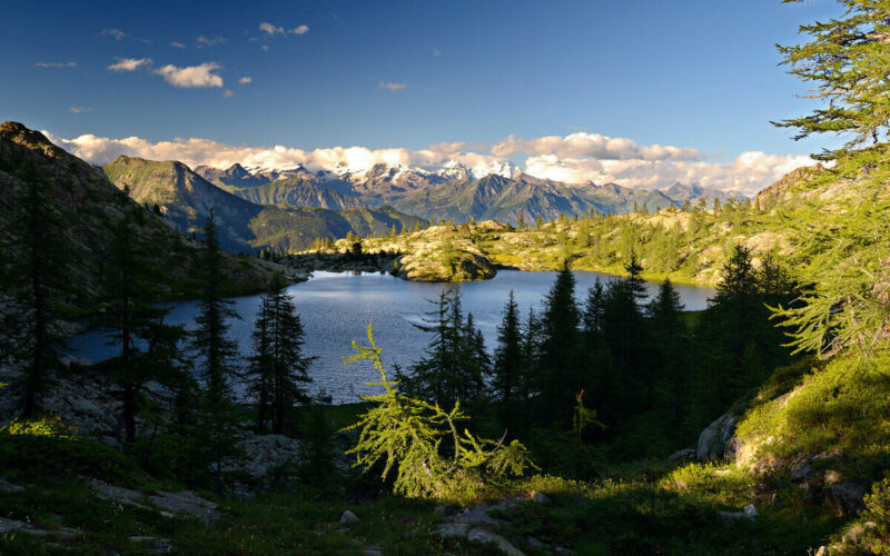 Prodotti biologici in Valle d'Aosta|Prodotti biologici in Valle d'Aosta