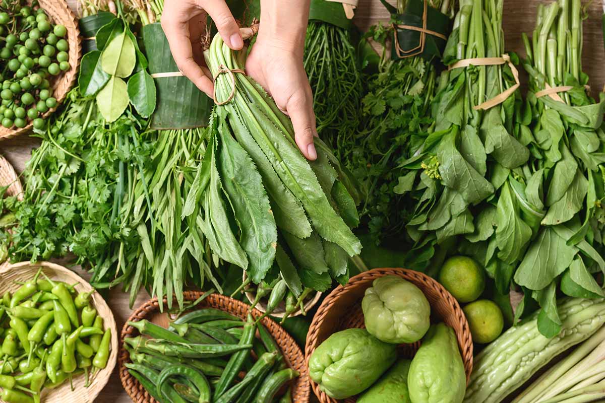 Prodotti biologici in Friuli Venezia Giulia