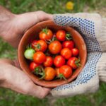 Prodotti biologici in Sicilia|Prodotti biologici in Sicilia