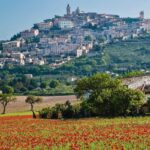 Prodotti biologici in Umbria|Prodotti biologici in Umbria