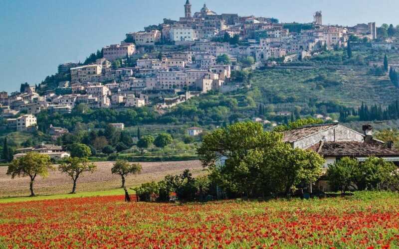 Prodotti biologici in Umbria|Prodotti biologici in Umbria