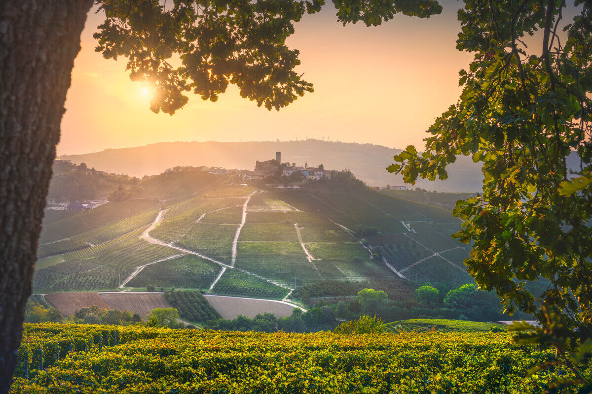 Prodotti biologici in Piemonte